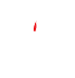 NITD Logo